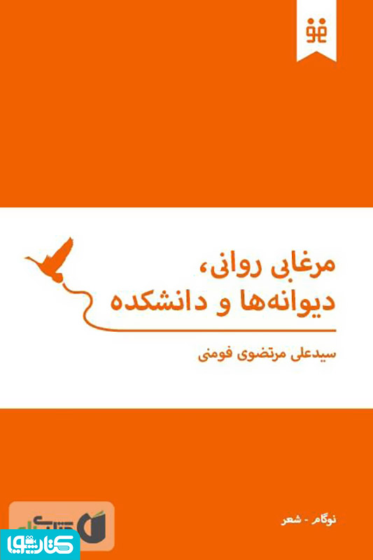 مرغابی روانی، دیوانه ها و دانشکده