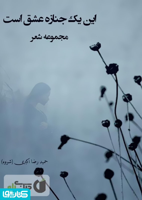 این یک جنازه عشق است - مجموعه شعر