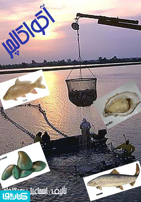 آکواکالچر