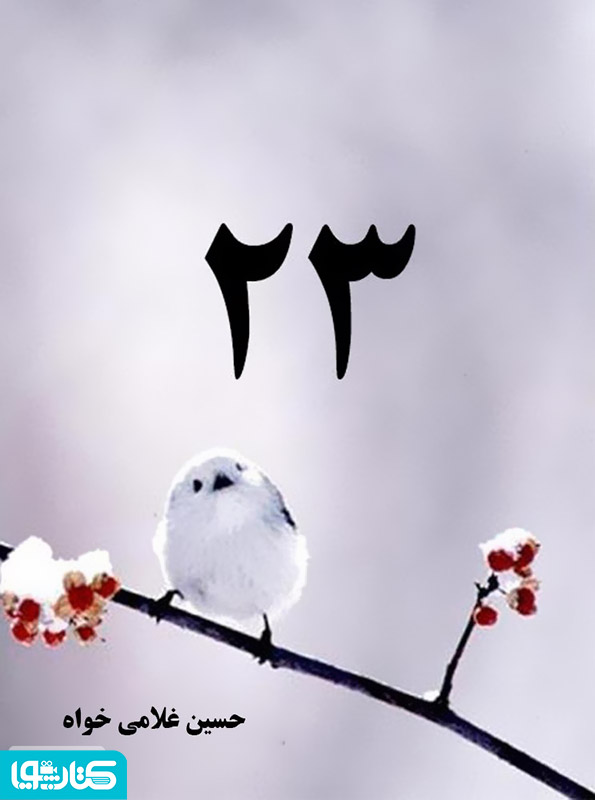 23 - مجموعه شعر